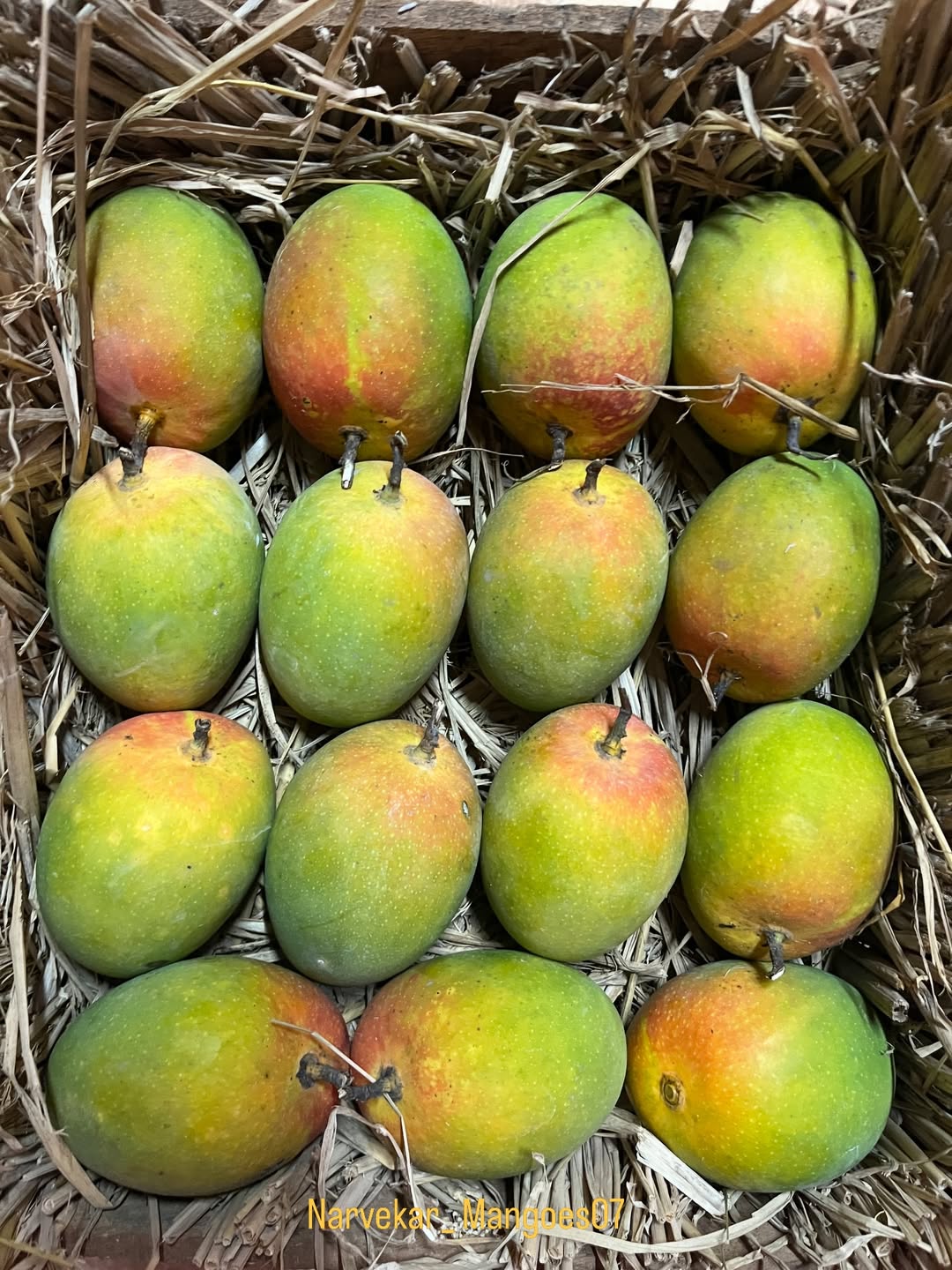 Delivering smiles with every box—Mumbai customer served! 📦🥭D.M.for orders……💞..#mango #kokan #