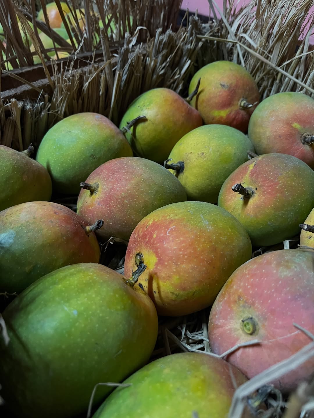 Delivering smiles with every box—Mumbai customer served! 📦🥭D.M.for orders……💞..#mango #kokan # (1)
